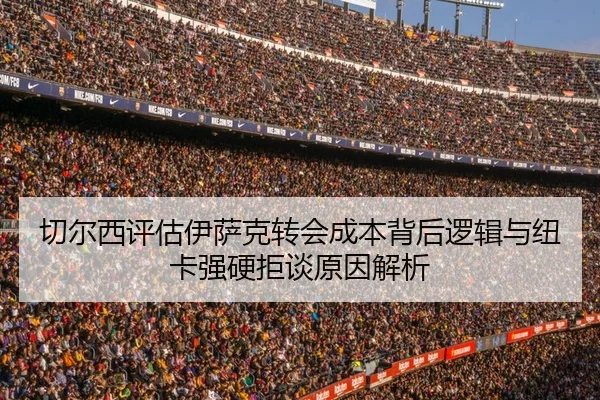切尔西评估伊萨克转会成本背后逻辑与纽卡强硬拒谈原因解析